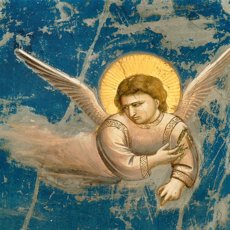 La fuite en Egypte, détail de l'ange - Giotto à Giotto di Bondone