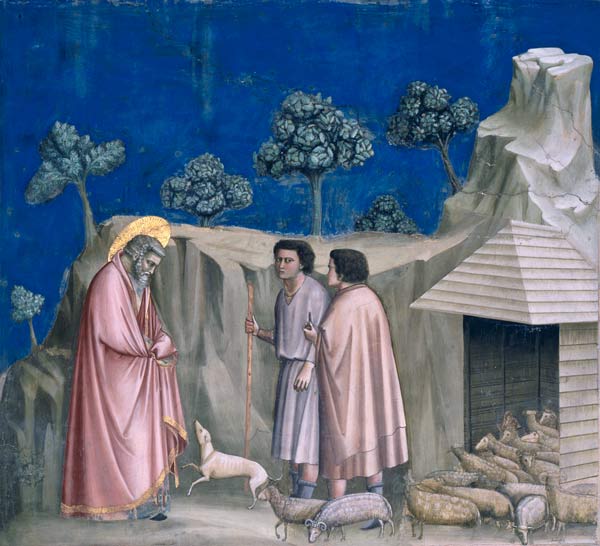 Giotto, Joachim chez les bergers à Giotto di Bondone