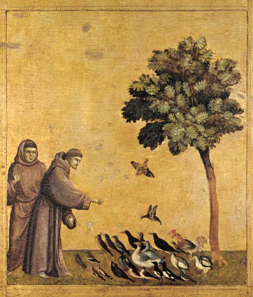 St. Francis of Assisi preaching to the birds à Giotto di Bondone