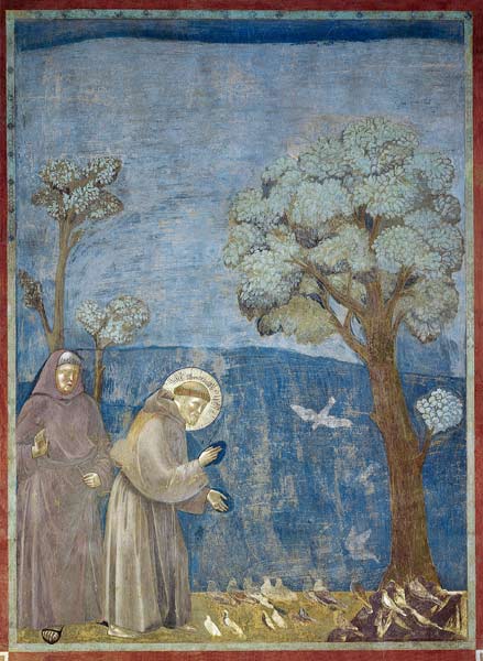 St. Francis Preaching to the Birds à Giotto di Bondone