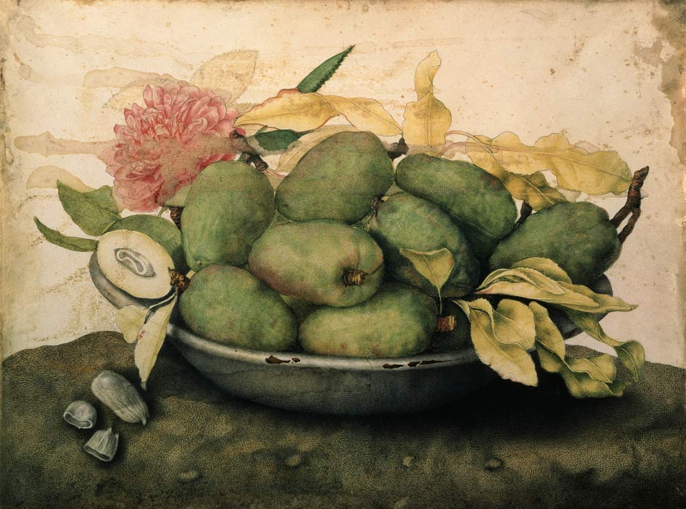 G.Garzoni / Bowl with Plums.../ c.1650 à Giovanna Garzoni
