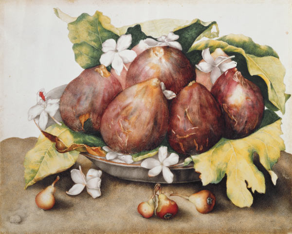 Figs on Leaves à Giovanna Garzoni