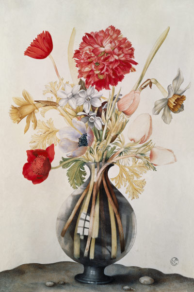 Vase of Flowers with Daffodils, Carnations and Anemones à Giovanna Garzoni