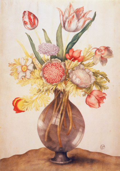 G.Garzoni, Tulpen, Mohn u.Päonie à Giovanna Garzoni