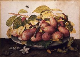Dish with plums & hazelnuts / Garzoni