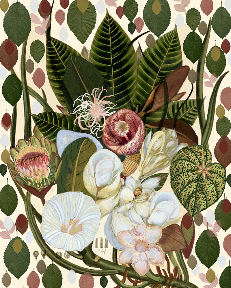 Earthy Blooms.png à giovanna nicolo
