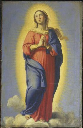 l'Immaculée Conception.