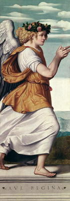 An Angel (panel) à Giovanni Battista Moroni