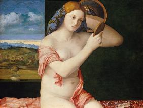 Jeune femme avec la toilette