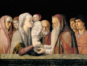Bellini / Jesus au Temple / Vers 1470-80