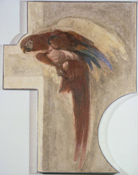 G.D.Tiepolo / Perroquet à Giovanni Domenico Tiepolo
