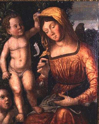 Madonna Sewing à Giovanni Francesco Caroto