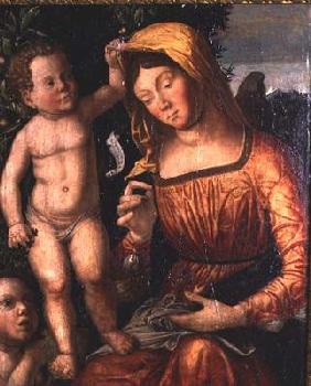 Madonna Sewing