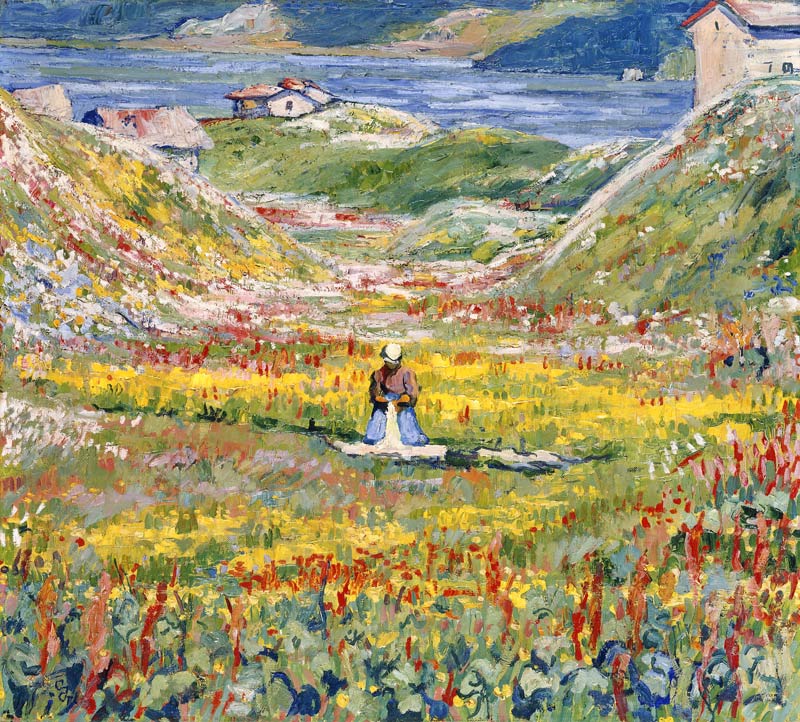 Flowering Meadows in Maloja; Bluhende wiesen bei Maloja à Giovanni Giacometti