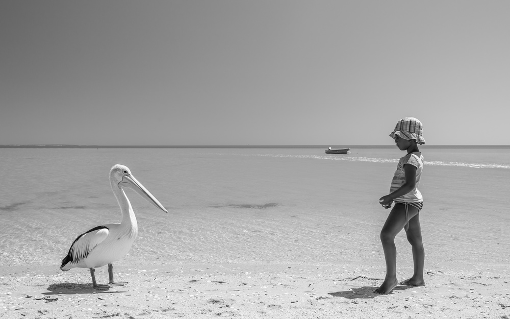 Mekdi and the pelican à Gloria Salgado Gispert