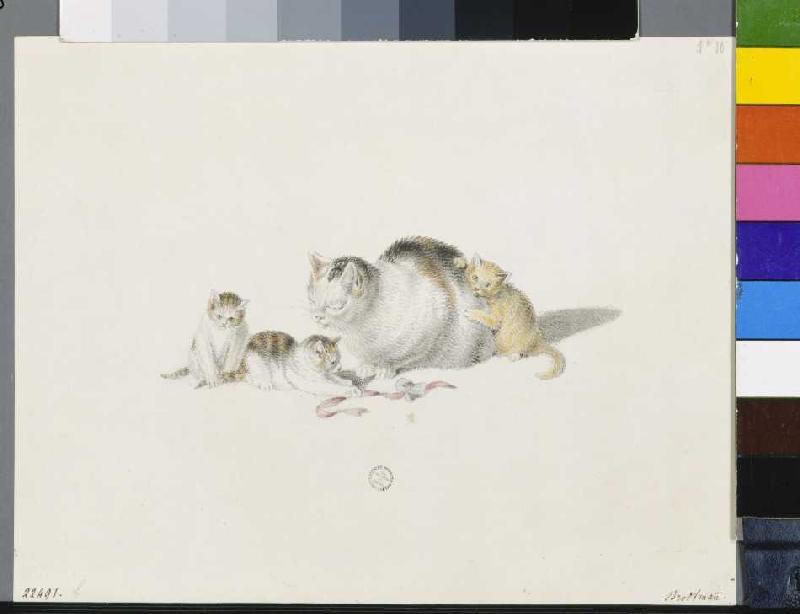 Mère de chat dormant avec trois garçons à Gottfried Mind