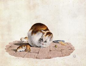 Mère de chat avec trois garçons à une plaque de fourrage