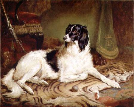 'Minna', a favourite dog of James, Marquess of Dalhousie à Gourlay Steell