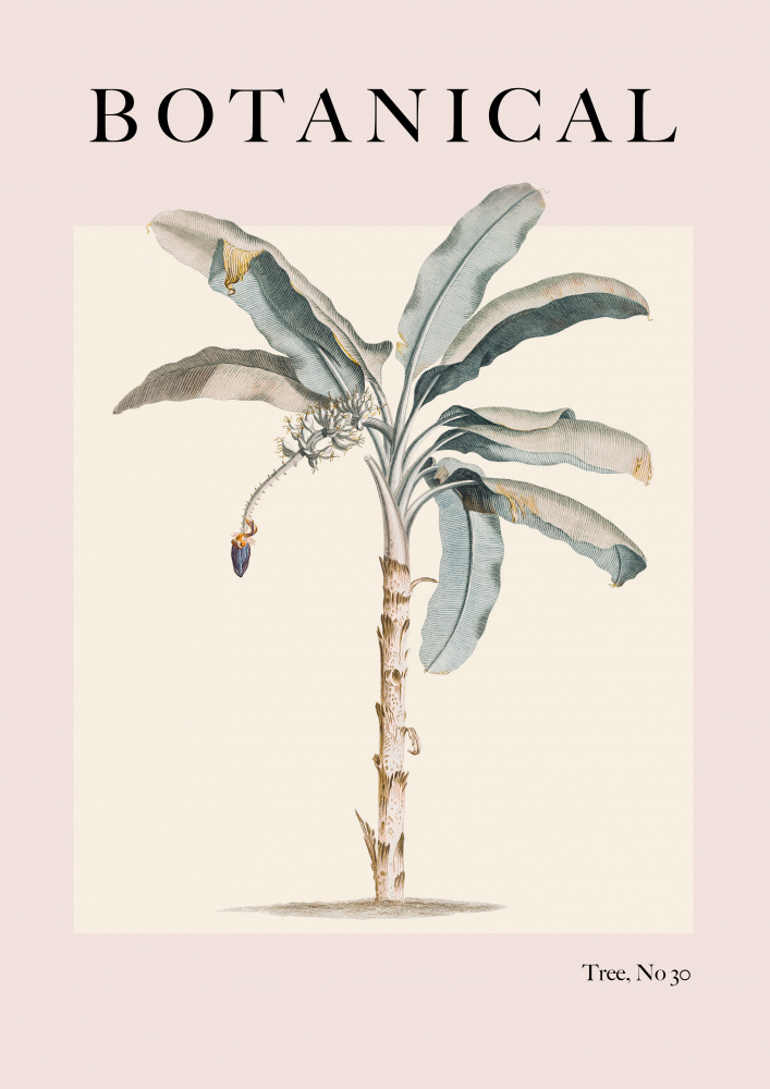 Botanical Palm à Grace Digital Art Co