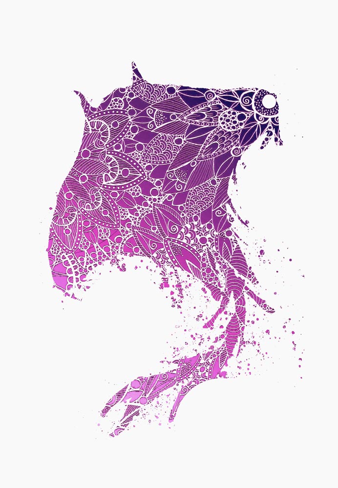 Purple Mandala Manta Ray Silhouette à Sebastian  Grafmann