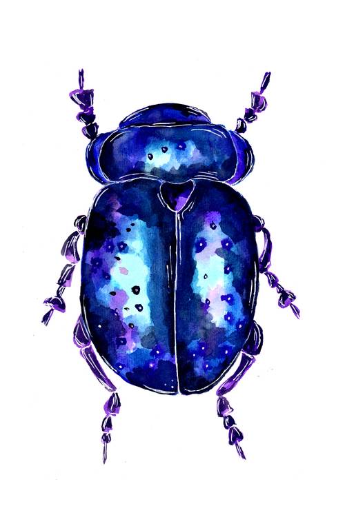 Blue and Purple colored Leaf Beetle à Sebastian  Grafmann