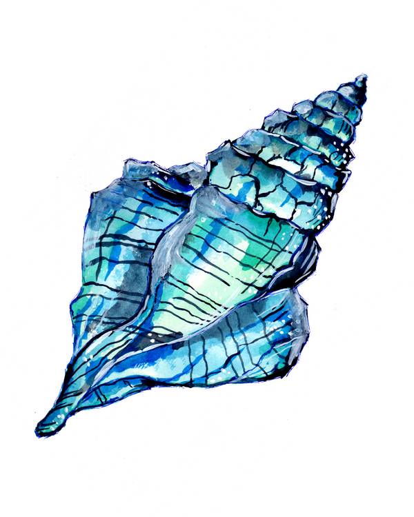 Blue Conch Seashell à Sebastian  Grafmann