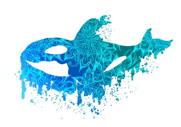 Blue Floral Orca Killerwhale à Sebastian  Grafmann