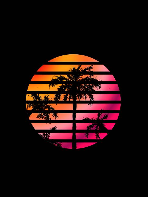Palm Trees Sunset à Sebastian  Grafmann