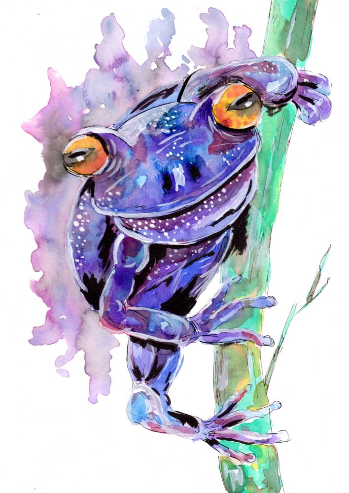 Purple Frog à Sebastian  Grafmann