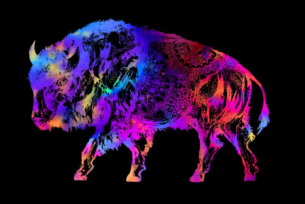 Rainbow Buffalo à Sebastian  Grafmann