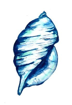 Blue Seashell