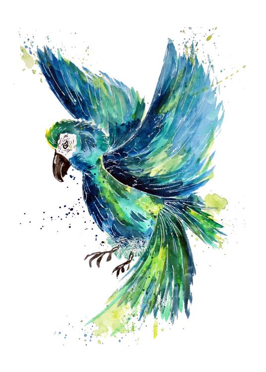 Turquoise Watercolor Parrot à Sebastian  Grafmann