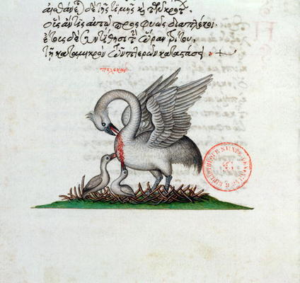 Ms 3401 A Pelican Piercing its Breast to Feed its Young, from a Bestiary by Manuel Philes, 1566 (vel à Ecole grecque, (16ème siècle)