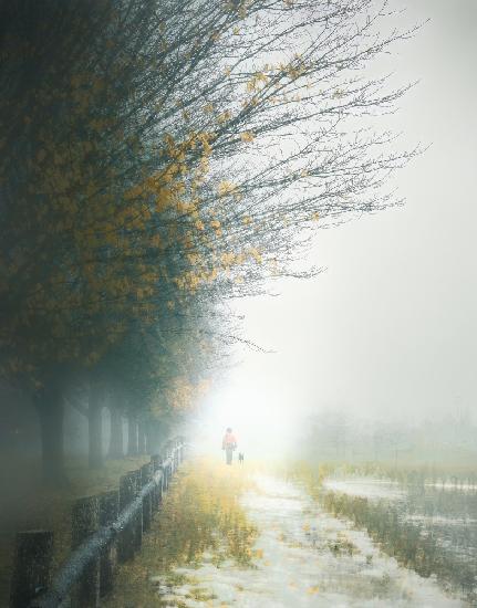 Misty Morning Stroll