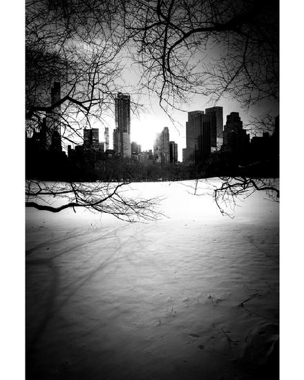 Central Park City & Trees N¬∫1