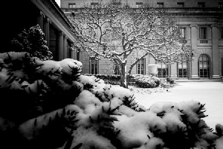 Frick Collection Winter N¬∫3