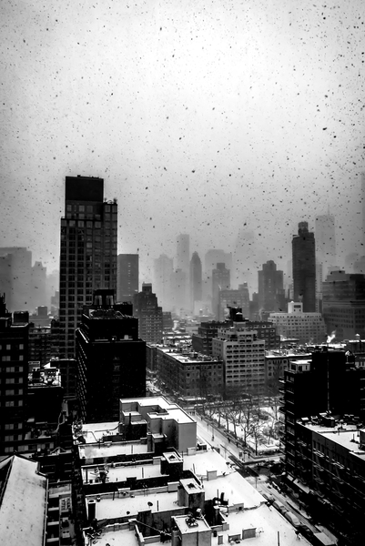 Heavy New York Snow à Guilherme Pontes
