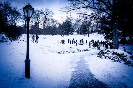 The Tourists in the Snow