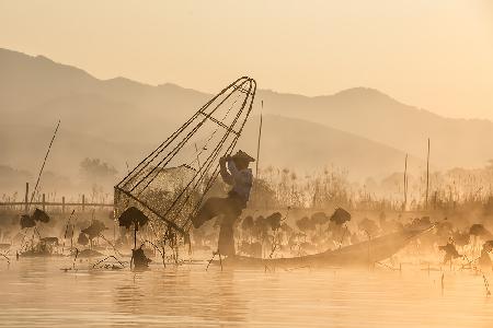 Good Morning, Lets Fishing!