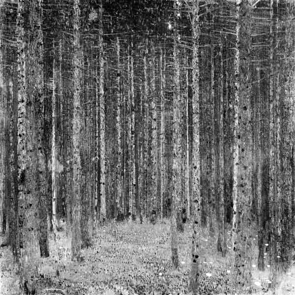 Fir Forest I à Gustav Klimt