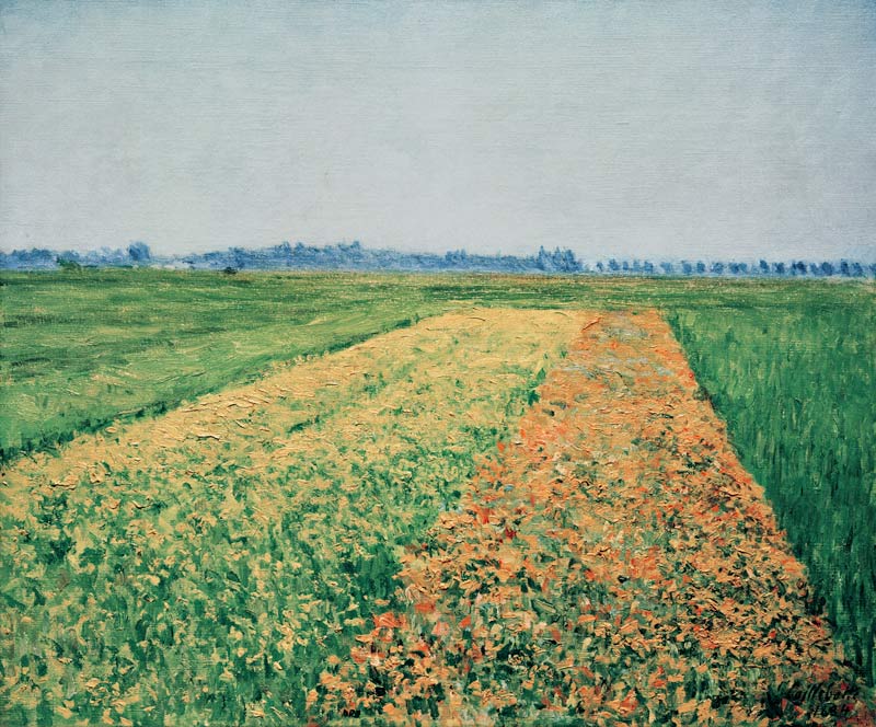 Fields at Gennevilliers à Gustave Caillebotte