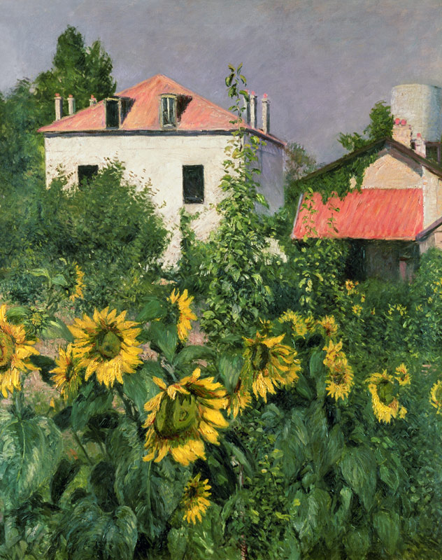 Sunflowers in the Garden at Petit Gennevilliers à Gustave Caillebotte