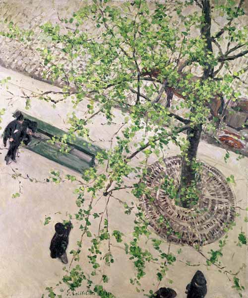The Boulevard Viewed from Above à Gustave Caillebotte