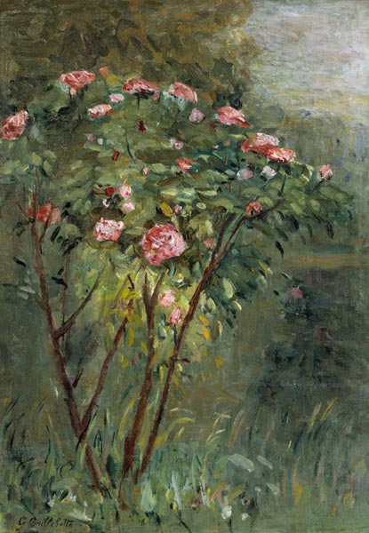 Le Rosier, c.1884-86. à Gustave Caillebotte