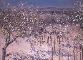 Orchard with Flowering Apple Trees, Colombes