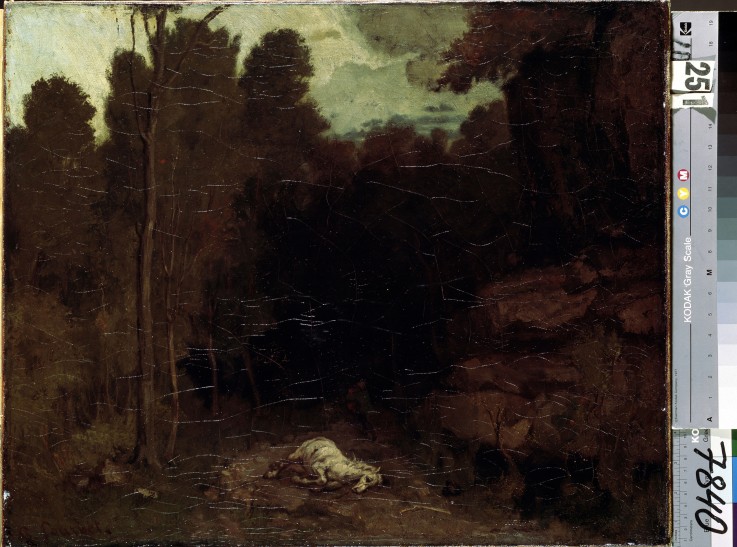 Landscape with a Dead Horse à Gustave Courbet