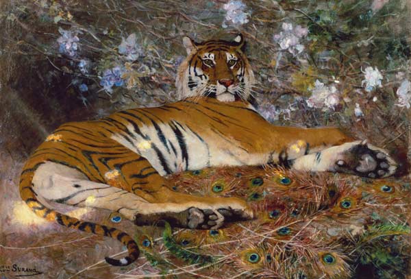 Tiger von Annam. à Gustave Surand