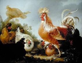 Cockerel and hens in a landscape