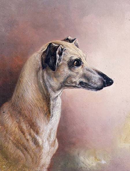 Head of a Greyhound (panel) à H. Morley Park