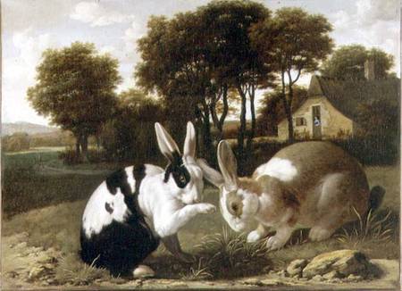 Two Rabbits in a Landscape à École Haarlem